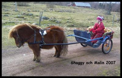 shaggy drar vagn mars_cropped_1024x642_caf