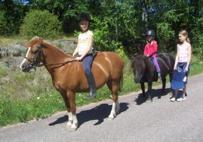 barbacka till bete 06 lager