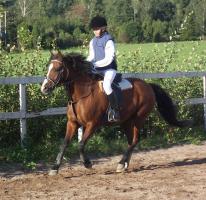 filippa i galopp filippa i galopp