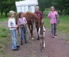 lager, fol till hage 06