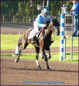 mantorp (15)_cropped_caf