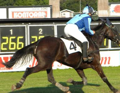 mantorp (16)_cropped