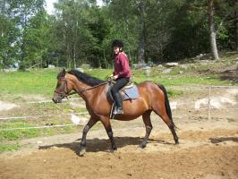 pict0060