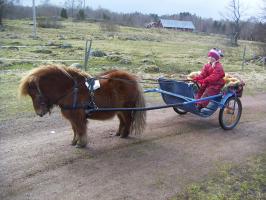 shaggy drar vagn shaggy drar vagn